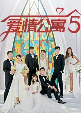 爱情公寓 第五季